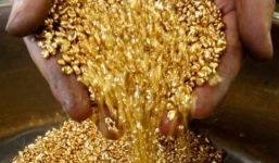 Giá vàng hôm nay 8/6/2016 tụt giảm sau gần 2 tuần đạt đỉnh