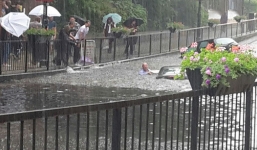 Video: Ô tô ngập tới nóc sau một giờ mưa lớn ở Anh