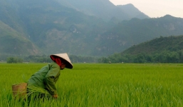 Việt Nam nằm trong top 10 quốc gia yên bình nhất thế giới