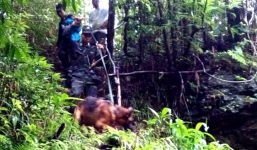 Thi thể du khách Anh được tìm thấy ở khe núi