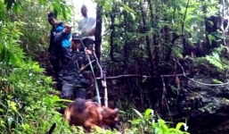 Video: Vận chuyển thi thể du khách Anh tử nạn về thị trấn Sa Pa