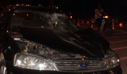 Đồng Nai: 'Xế hộp' tông ngựa lên nóc capô, tài xế bị thương