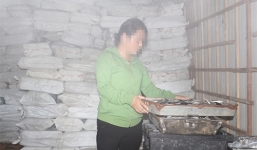 Chất độc Phenol trong cá nục ở Quảng Trị được phát hiện như thế nào?