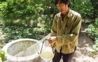 Giải mã hiện tượng nước giếng bị mặn chát, nếm vào 'tê cứng' lưỡi ở Thanh Hóa