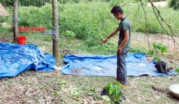 Video: Hiện trường phát hiện thi thể người đàn ông dưới ao, 2 tay bị trói