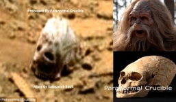 Video phát hiện vật thể lạ nghi sọ của quái vật Sasquatch trên sao Hỏa