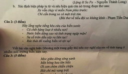 Hiện tượng cá chết hàng loạt vào đề thi lớp 10 môn Văn