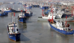 Hàn Quốc bắt giữ hai tàu cá Trung Quốc 