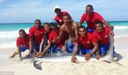 Cá mập chết vì du khách lôi lên bờ để chụp ảnh