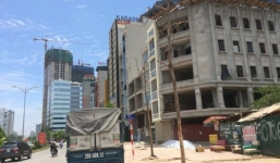 Tình trạng cây xanh Hà Nội: Mới trồng đã chết khô