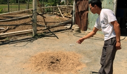 Từ chối tình cảm, một nữ sinh Đà Nẵng bị sát hại tại nhà