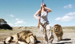 Video: Sư tử vồ nữ thợ săn