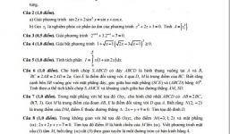 'Thiếu chính xác trong đề thi toán chuyên lớp 10 TP HCM': Sở GD-ĐT nói gì?