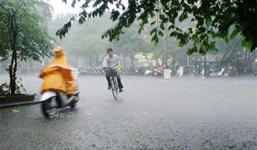 Tin mới áp thấp nhiệt đới giật cấp 8 trên Biển Đông