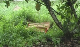 Trọng án Bình Phước: Con trai chủ nhà nghỉ bị khách trọ sát hại