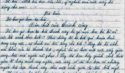 Bài văn của nữ sinh lớp 10 về sự thành công khiến nhiều người thức tỉnh