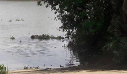 Phát hiện thi thể nam thanh niên dưới kênh thủy lợi