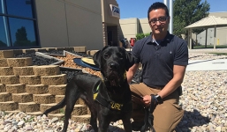 Chú chó với khả năng đặc biệt: đánh hơi các thiết bị điện tử có phim người lớn