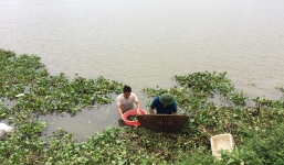 Hiểm họa cá sấu ở đầm Vân Trì