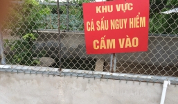 Truy tìm nguồn gốc cá sấu đầm Vân Trì