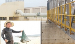 Manh mối nào giúp nhà khoa học tìm ra 'thủ phạm' làm cá chết hàng loạt?