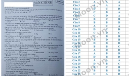 Đáp án đề thi môn Hóa học THPT quốc gia 2016