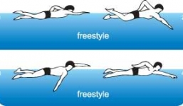 Dạy học bơi: Kỹ thuật bơi sải