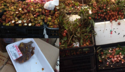 Khách Việt vô tư ăn thử đồ siêu thị, hình ảnh xấu xí đáng xấu hổ