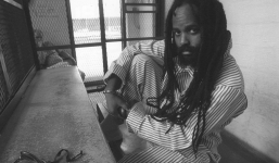 'Tù chính trị' Mỹ tiết lộ những bí mật của Washington