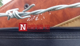 Tới UBND xã làm việc, phát hiện 'hoa Ưu đàm 3000 năm nở một lần'