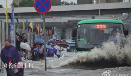 Video: Cá chen chúc bơi lội trên đường phố ngập lụt ở Trung Quốc