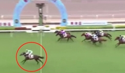 Chiến mã tái hiện pha nước rút kinh điển của Gareth Bale