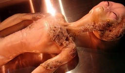 Giám đốc NASA tin có sự tồn tại của người ngoài hành tinh