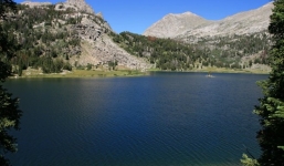 Săn Pokemon phát hiện xác chết gần sông