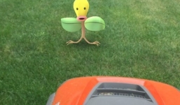 Những nơi bắt Pokemon “dị” nhất thế giới