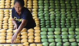 Sau phán quyết, Trung Quốc 'trút giận' lên trái xoài Philippines