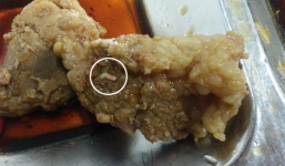 Phát hiện dòi trong thức ăn trưa của công nhân
