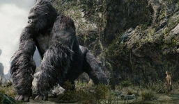 'King Kong' bất ngờ xuất hiện, gây náo loạn đường phố