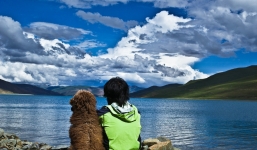 Chàng trai chở chó cưng đến 23 quốc gia khiến dân mạng thích thú