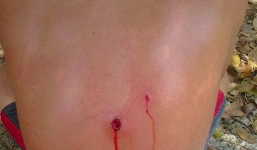 Thôi chức quyền trưởng công an xã bắn bừa