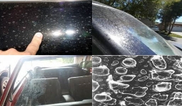 “Trị bệnh” ố mốc kính ôtô đơn giản