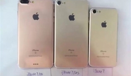 iPhone 7 Pro camera kép xuất hiện cùng iPhone 7/7 Plus