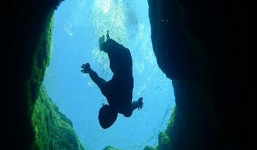 Khám phá bí ẩn về 'giếng sâu nuốt chửng người' ở Mỹ