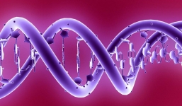 Sắp có phương pháp điều trị ung thư và bệnh tim mạch