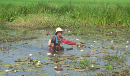 Vụ trúng đạn khi bắt cá ở Campuchia: Thêm nạn nhân tử vong
