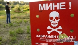 Phi thẳng vào bãi mìn để bắt... Pokemon