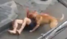 Video: Người Trung Quốc thờ ơ nhìn nạn nhân bị chó dữ cắn