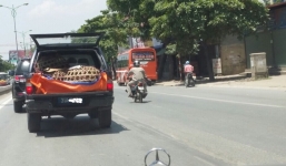 Xe 'biển xanh' lỉnh kỉnh chở bu gà?