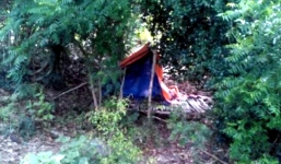 Kẻ sát hại người phụ nữ chăn bò uống thuốc tự tử trong rẫy mía