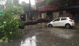 Bão số 1: Hơn 600 cây xanh đổ đè bẹp nhiều ô tô tại Hà Nội, 1 người chết